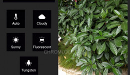 New Google Camera 4.2.032 Bring the White Balance Options Feature Finally, Download 7.0+ Base Mod.